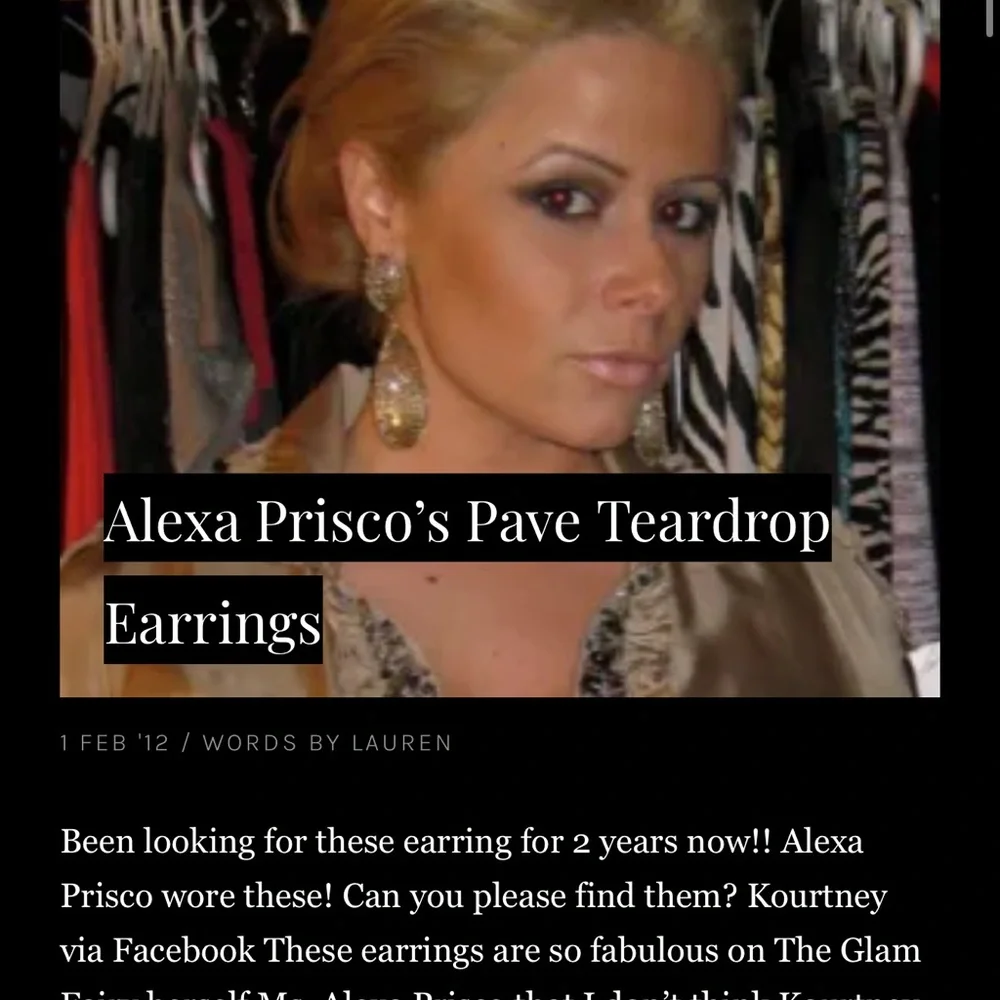 REPURCHASE Roni Blanshay Silver Crystal Drop Earrings - Picture 11 of 11